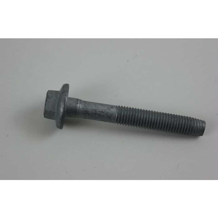 Skrue-Bolt M14, 100mm lang zink behandlet